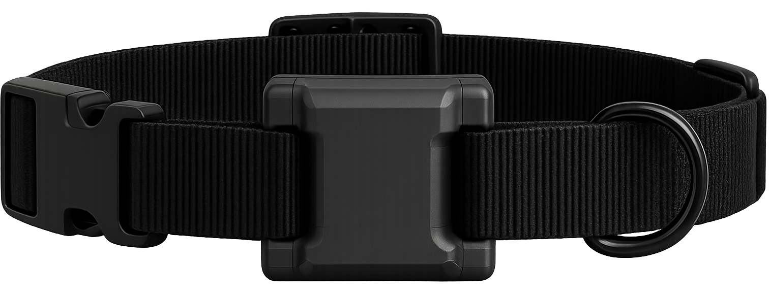 BAREL Smart Collar